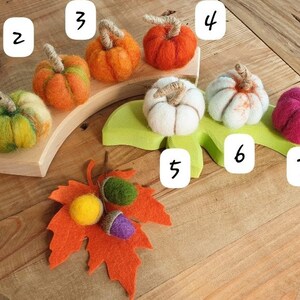 May include: Nine felt pumpkins in various colours, including green, orange, white, and pink, are arranged on a wooden base and a green leaf. Three felt acorns are on a red felt leaf.