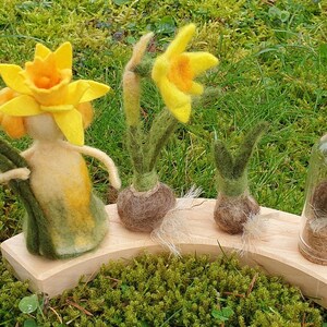 May include: A whimsical display of felted daffodils on a wooden base. The arrangement includes a daffodil fairy with a yellow flower head and green stem, along with several felted daffodil bulbs and a glass jar with moss.