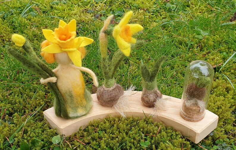 May include: A whimsical display of felted daffodils on a wooden base. The arrangement includes a daffodil fairy with a yellow flower head and green stem, along with several felted daffodil bulbs and a glass jar with moss.