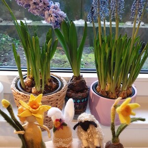 May include: A window display featuring spring flowers and Easter-themed decorations. The flowers include purple hyacinths, blue grape hyacinths, and yellow daffodils. Decorative felt figures of a daffodil person, a bunny, and a sheep are also present.