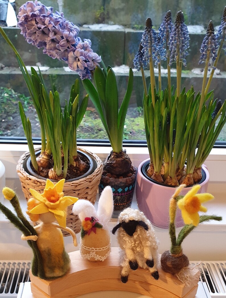 May include: A window display featuring spring flowers and Easter-themed decorations. The flowers include purple hyacinths, blue grape hyacinths, and yellow daffodils. Decorative felt figures of a daffodil person, a bunny, and a sheep are also present.