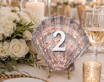 Seashell Table Numbers