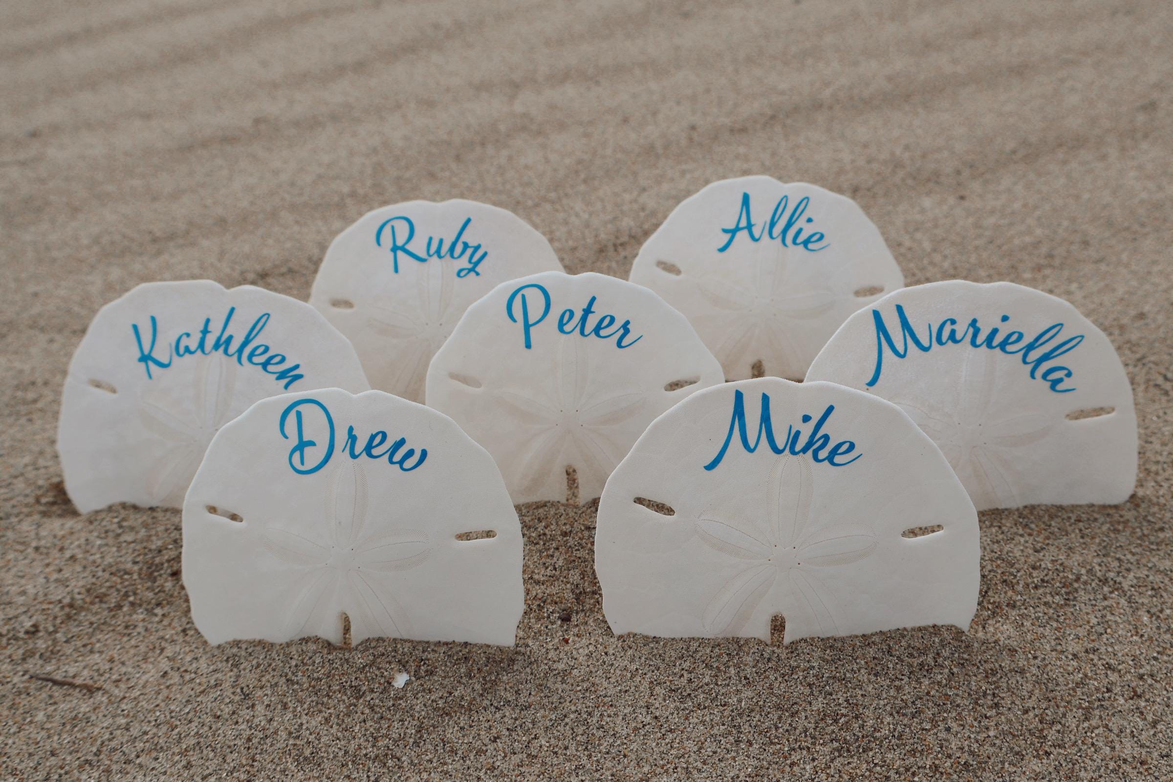 Sand Dollar Seashell Wedding Seating Chart - Etsy