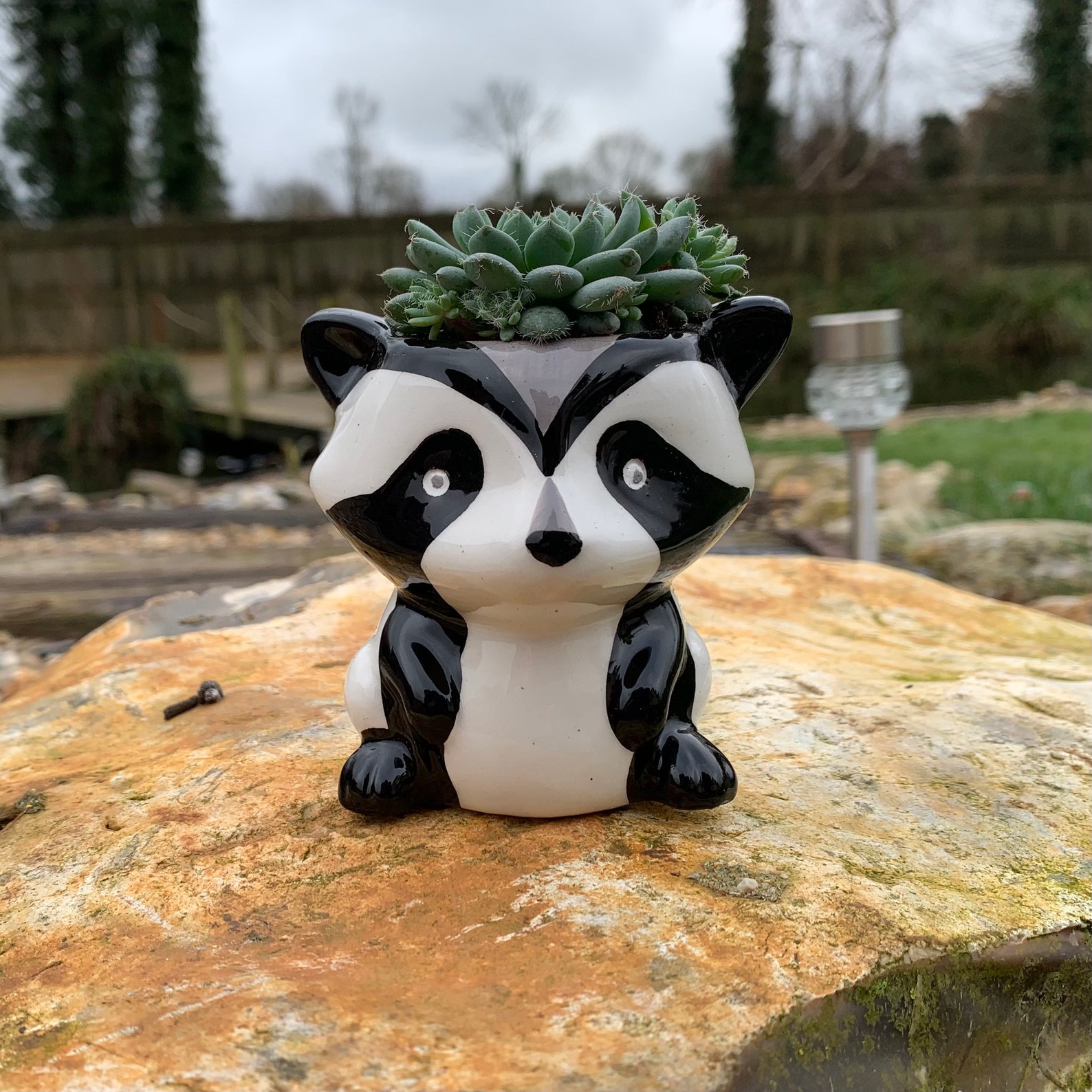 Raccoon Ceramic Succulent / Cacti Pot. Planter | Etsy