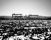 Belfast Yellow Cranes, Titanic quarter, Harland and Wolff shipyard, mounted photos Northern Ireland, pictures, Wall art decor, photo gifts.