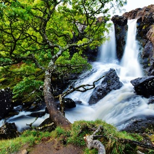 May include: A verdant tree with branches extending over a cascading waterfall. The water flows over rocks, creating a misty, ethereal effect.