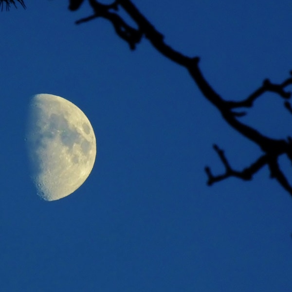 Photo print of the Moon, Mounted Print Half Moon, lunar sky pictures, astronomy photographs, wall art, home decor, wall hanging, celestial.