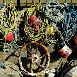 May include: A pile of colourful rope and buoys, some are red, yellow, and pink. The rope is tangled and knotted. There is a rusty metal wheel in the centre of the image.