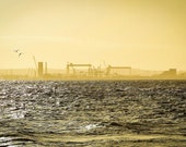 Belfast Yellow Cranes, Titanic quarter, Harland and Wolff shipyard, mounted photos Northern Ireland, pictures, Wall art decor, photo gifts.