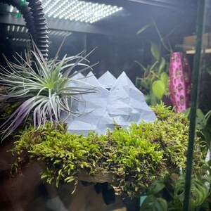 May include: A terrarium with a gray, 3D printed mountain range, green moss, and a purple air plant. The terrarium is lit by a bright white light.