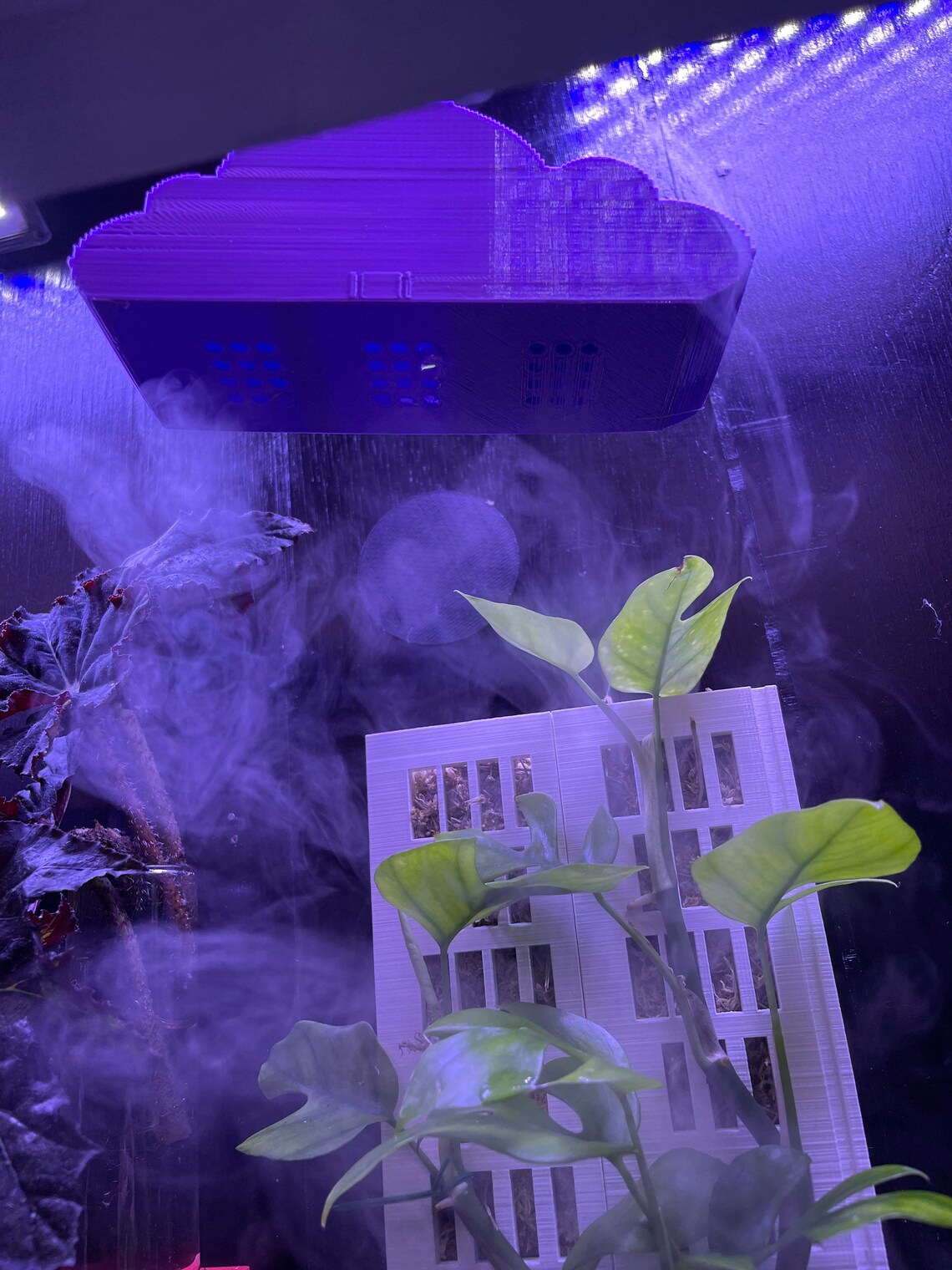 Rain Cloud Humidifier Attachment Plant Accessory Terrarium Etsy