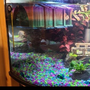 Fish HideAway Aquarium Decor Beta Trailer