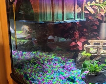 Fish HideAway Aquarium Decor Beta Trailer