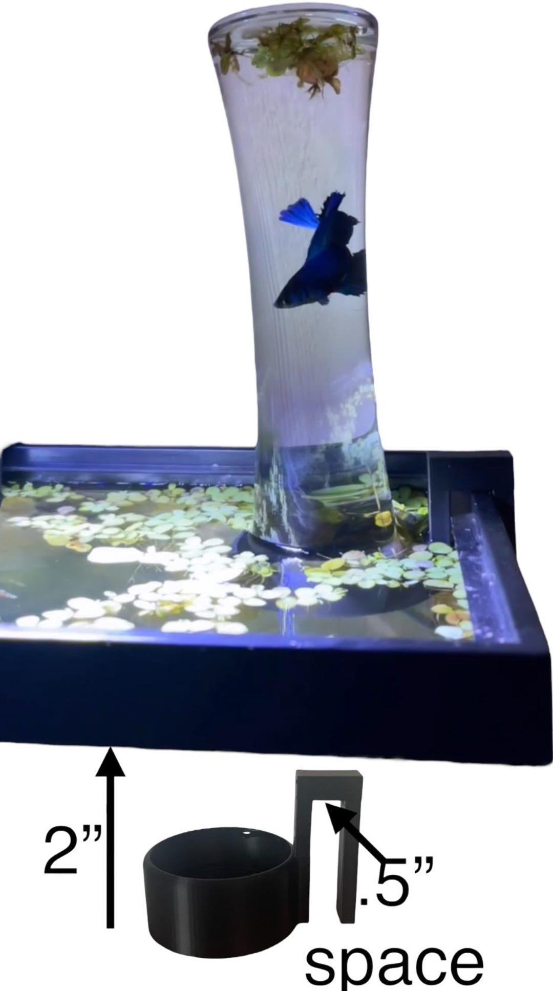 Aquarium Accessory for 5 & 10 Gallon Fish Tanks - Etsy