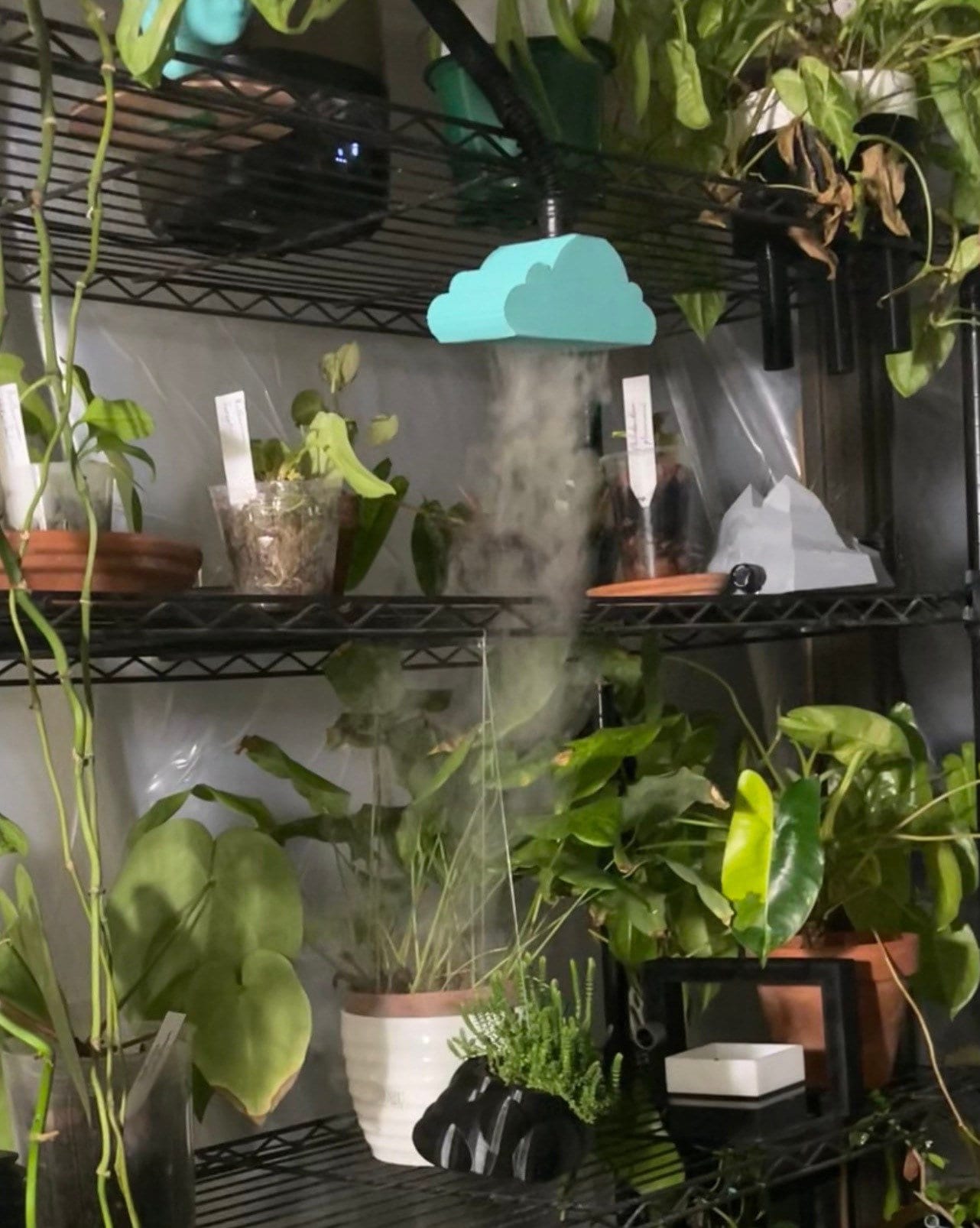 Rain Cloud Humidifier Attachment Plant Accessory Terrarium - Etsy