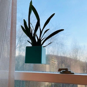 Peut inclure: Un pot carré turquoise suspendu à une fenêtre, contenant une plante verte feuillue aux feuilles longues et fines.