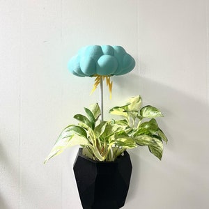 Rain Cloud 2.0 Plant Watering Accessory