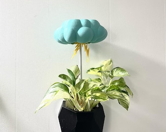 Rain Cloud 2.0 Plant Watering Accessory