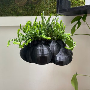 Hanging Cloud Planter