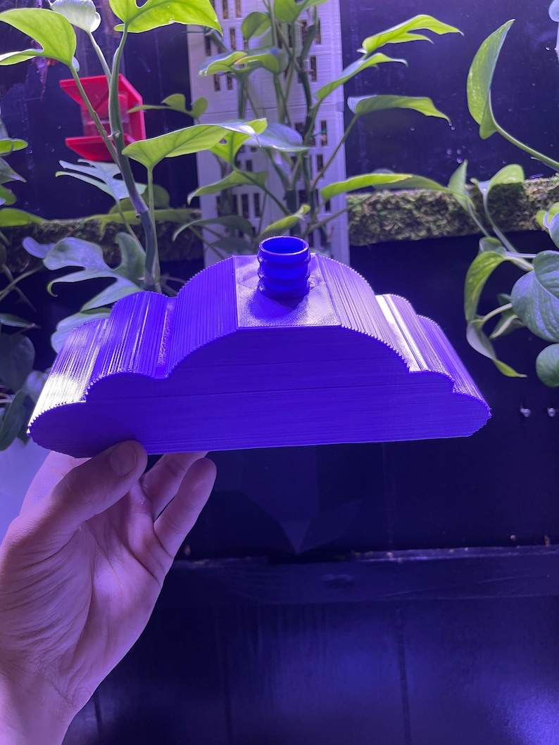 Rain Cloud Humidifier Attachment Plant Accessory Terrarium Etsy