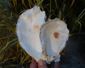 Cluster shell, side by side.
