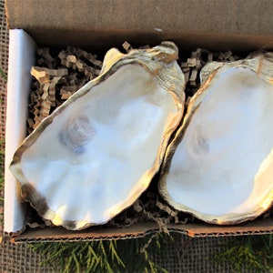 Salt and pepper cellar, pinch pots, painted oyster shell, beach decor