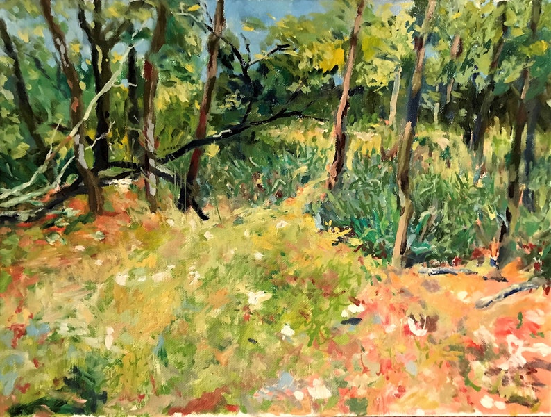 Loch Raven Watershed Near the Picnic Area Loch Raven Drive Etsy