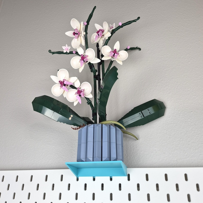 Puede incluir: Una orqu&iacute;dea construible hecha de bloques de pl&aacute;stico, con p&eacute;talos blancos con centros rosas y amarillos, hojas de color verde oscuro y una maceta estriada de color azul claro. La planta se exhibe en un estante azul brillante.