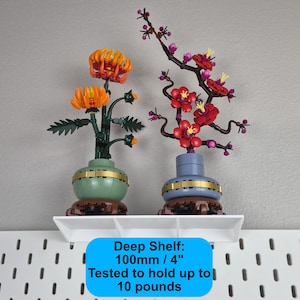 Puede incluir: Dos arreglos florales decorativos de bloques sobre un estante blanco. A la izquierda, crisantemos naranjas en una maceta verde salvia. A la derecha, flores de ciruelo rojas en ramas oscuras en una maceta azul. Texto: Deep Shelf: 100mm / 4".