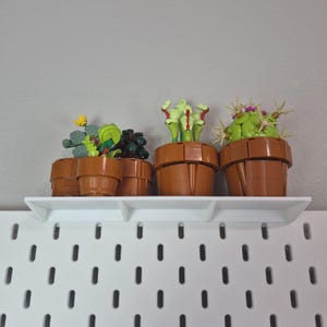 Puede incluir: Una colecci&oacute;n de cinco modelos de plantas en maceta construidos con bloques de pl&aacute;stico. Las plantas presentan varios tonos de verde, amarillo y rojo, alojadas en macetas marrones segmentadas sobre un estante blanco.