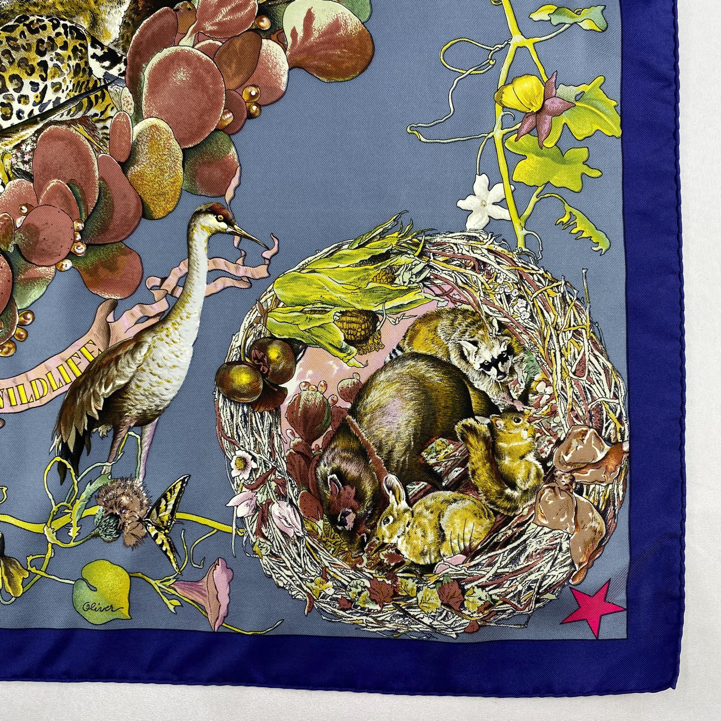 Vintage Hermes Faune Et Flore Du Texas BY Kermit Oliver Silk Scarf