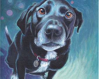 Labrador Mix with Great Expectations