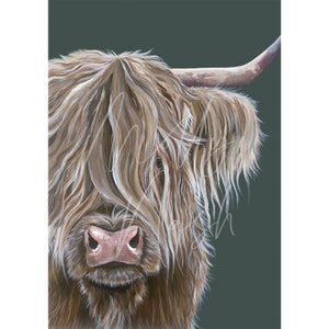 May include: A close-up portrait of a Highland cow with long, shaggy brown and white fur. The cow's face is partially obscured by its fur, but its large, dark eyes and pink nose are visible. The background is a deep green colour.