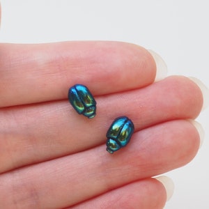 Könnte beinhalten: Ein Paar Ohrringe in Form eines regenbogenfarbenen blauen Käfers. Die Ohrringe sind klein und haben ein realistisches Käferdesign.