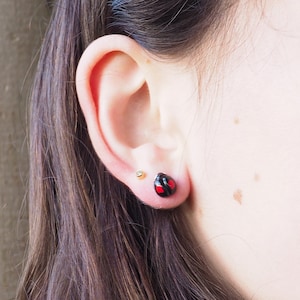 Harlequin Ladybird Stud Earrings, Bug Lovers, Ladybird, Ladybug Earrings, Gifts, Unique Jewellery, Beetles and Bugs, Ladybird Earrings, Bug