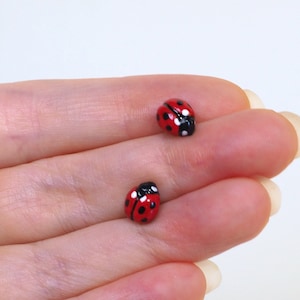 Lieveheersbeestje Stud Oorbellen, Bug Lovers, Ladybird, Lieveheersbeestje Oorbellen, Geschenken, Unieke Sieraden, Kevers en Bugs, Ladybird Oorbellen, Bug Gifts