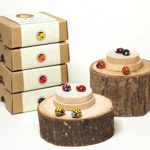 The Ladybird Collection, Ladybird Stud Earrings, Bug Lovers, Ladybird, Ladybug Earrings, Gifts, Unique Jewellery, Beetles, Ladybird Earrings