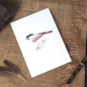 Marsh Tit Bird Design Blank A6 Aquarel Greetings Card, British Wildlife, Garden Bird, Nature Cards, Animal Lovers, Art & Illustration