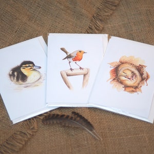 Wildlife Karten A6 leere Pack von 3, Set von 3 Multipack Grußkarten, Naturliebhaber, Garten Vögel, Aquarell Karten, Kunst und Illustration