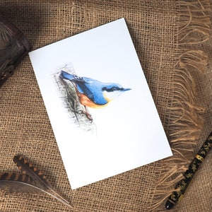 Nuthatch Bird Design Blank A6 Watercolour Greetings Card, British Wildlife, Garden Bird, Nature Cards, Animal Lovers, Art & Illustration