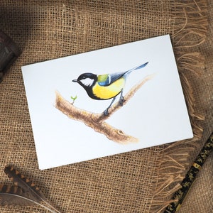 Great Tit Bird Design Blank A6 Akwarela Kartka z Pozdrowieniami, British Wildlife, Garden Bird, Nature Cards, Animal Lovers, Art & Illustration