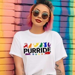 Purride Shirt, LGBT Cats Shirt, LGBTQ Pride Shirt, Rainbow Cat Silhouette Tee, Funny Cat Pride Shirt, Pride Rainbow Shirt, Kindness Tee