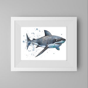 The Great White shark art watercolor shark great white acrylic ink ink art shark painting great white shark