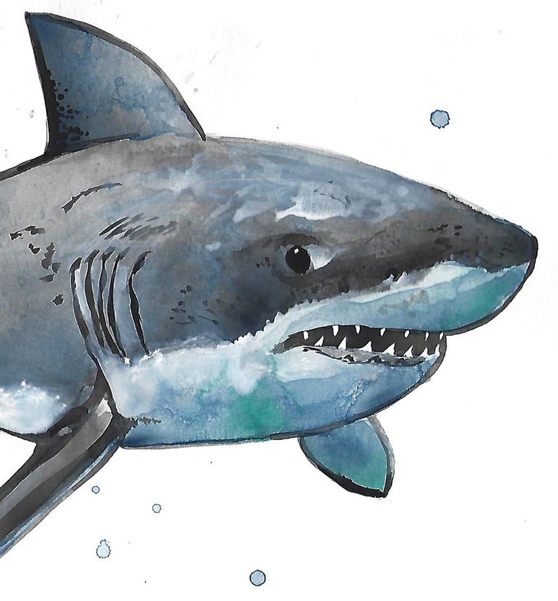 The Great White Shark Art Watercolor Shark Great White Acrylic Ink Ink