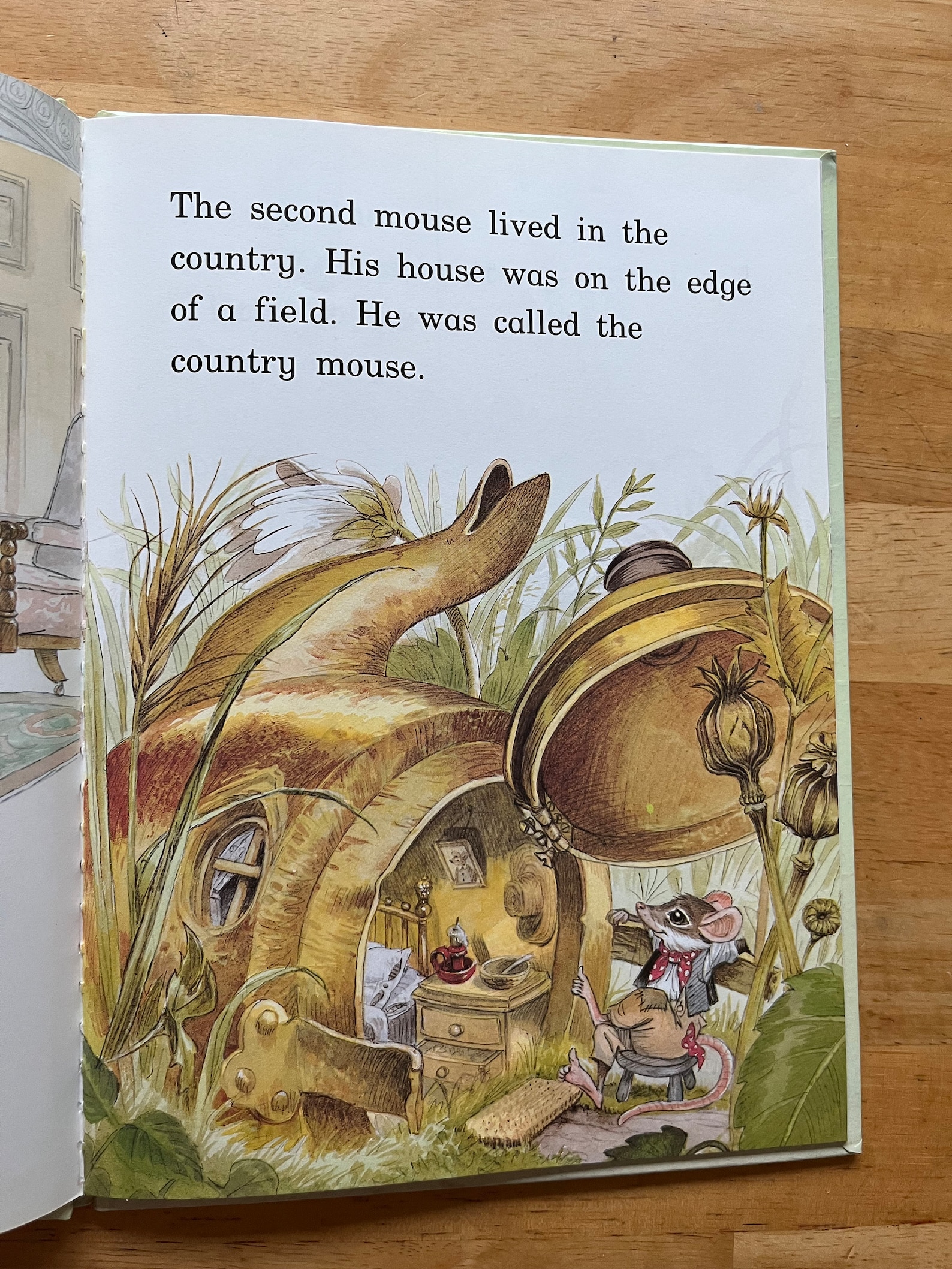 Town Mouse and Country Mouse large Type for First Readers, Hardcover - Etsy