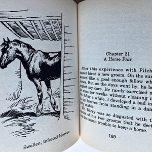 Op de afbeelding: Open boek met een zwart-wit illustratie van een paard in een stal. De tekst luidt "Hoofdstuk 21 A Horse Fair" en "Swollen, Infected Hooves". Paginanummer 169 is zichtbaar.