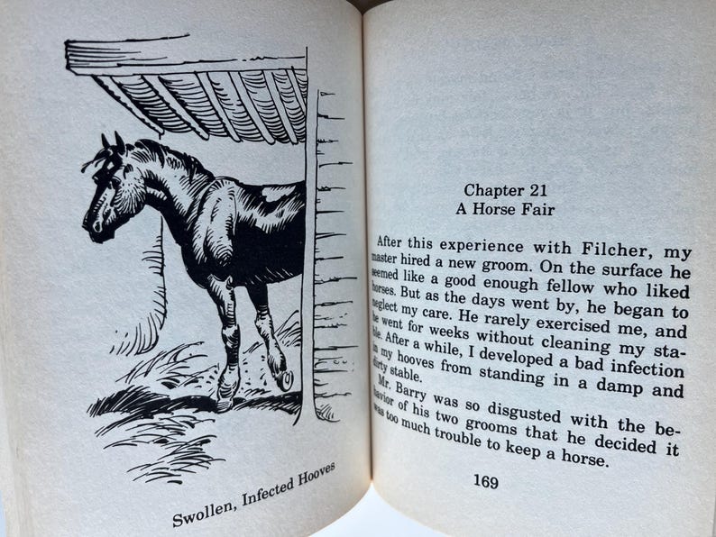 Op de afbeelding: Open boek met een zwart-wit illustratie van een paard in een stal. De tekst luidt "Hoofdstuk 21 A Horse Fair" en "Swollen, Infected Hooves". Paginanummer 169 is zichtbaar.