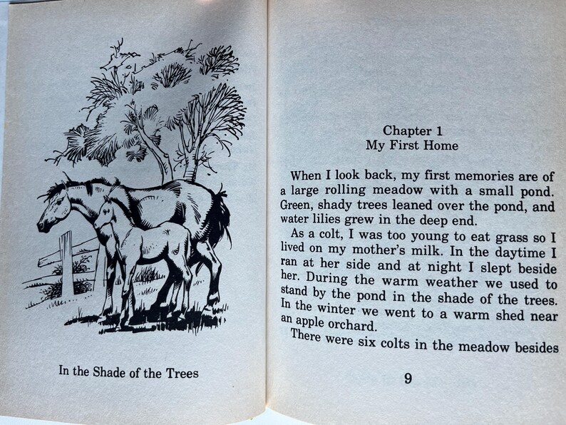 Op de afbeelding: Een zwart-wit illustratie uit een boek met een merrie en veulen bij een hek, onder bomen. De tekst "In the Shade of the Trees" staat onder de afbeelding. De tegenoverliggende pagina heeft de tekst "Chapter 1 My First Home".
