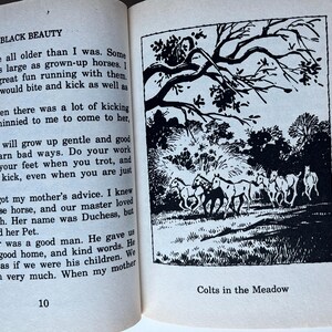 Op de afbeelding: Een open boek met tekst en een zwart-wit illustratie. De illustratie toont verschillende paarden die in een weide onder een boom rennen. De tekst luidt "BLACK BEAUTY" en "Colts in the Meadow".