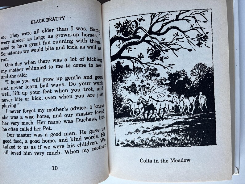 Op de afbeelding: Een open boek met tekst en een zwart-wit illustratie. De illustratie toont verschillende paarden die in een weide onder een boom rennen. De tekst luidt "BLACK BEAUTY" en "Colts in the Meadow".